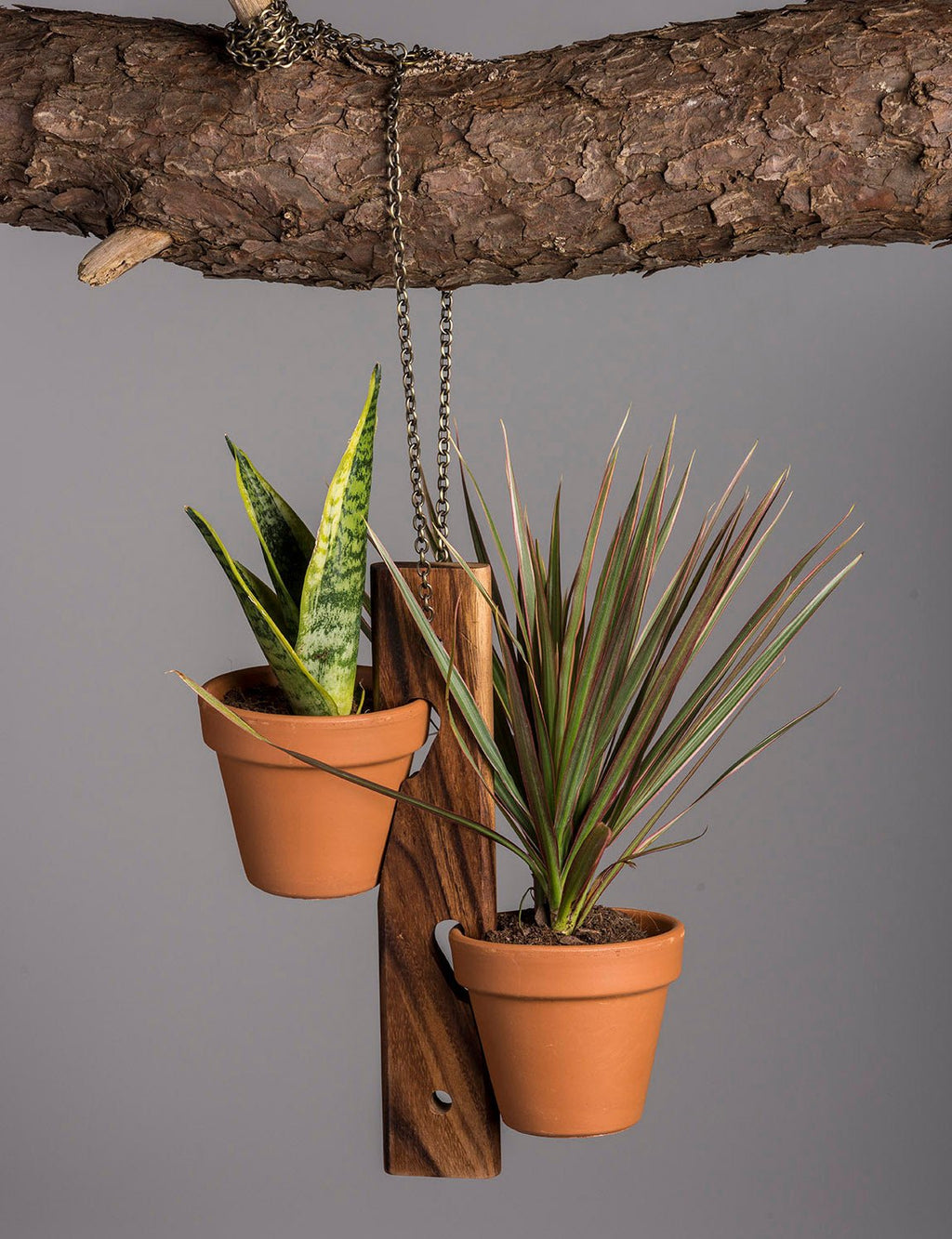 6 Pot Hanging Plant Holder - 3 piece set - Clever Home Goods
