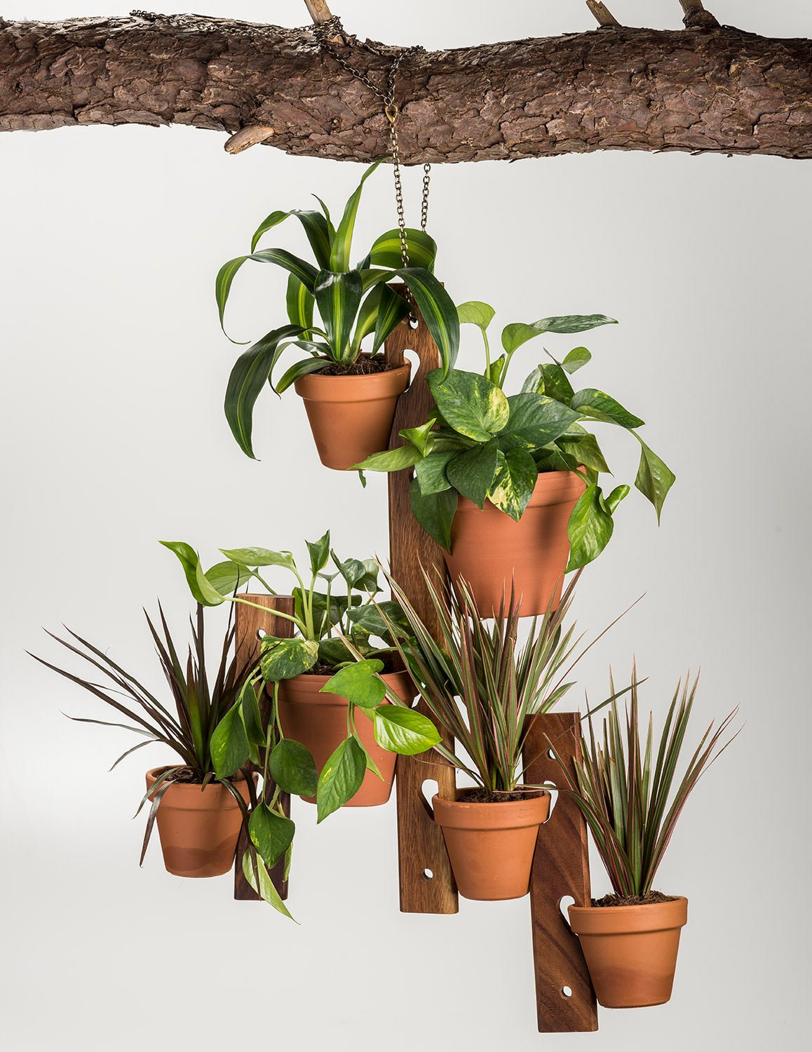 6 Pot Hanging Plant Holder - 3 piece set - Clever Home Goods